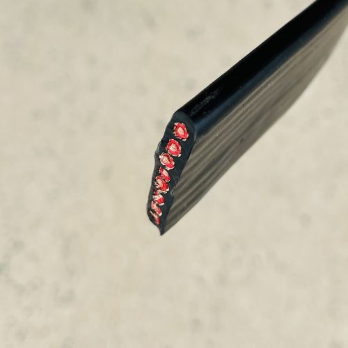 IMG_2437.jpg IMG_2437.jpg