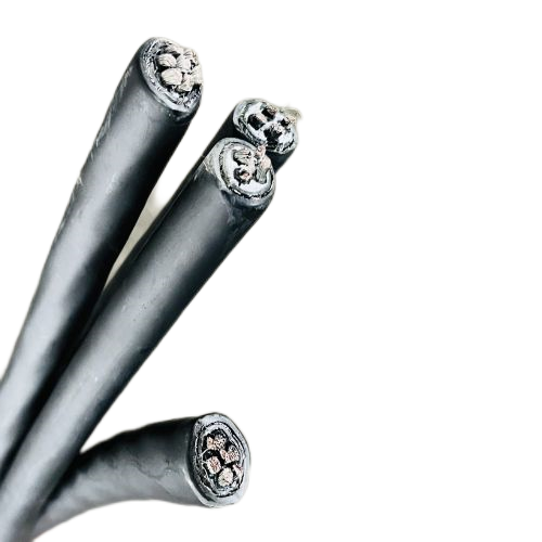 202411131554435028 202411131554435028