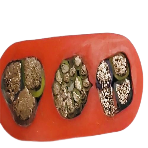 202411141451449050 202411141451449050