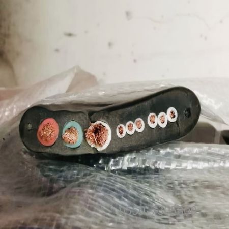 九五至尊VI老品牌值得信任 -官方网站