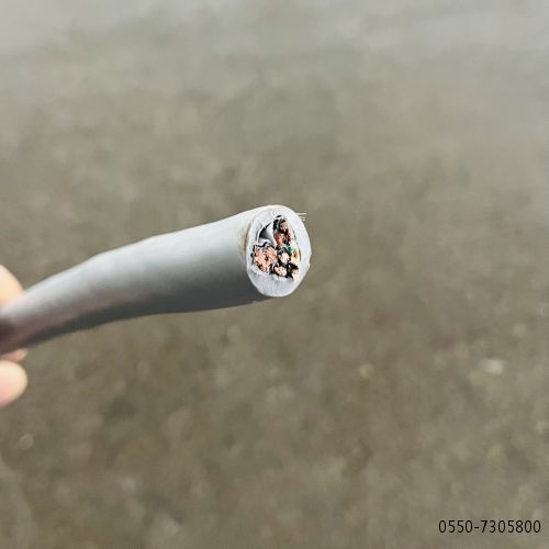 VIƷֵ -ٷվ