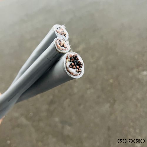九五至尊VI老品牌值得信任 -官方网站