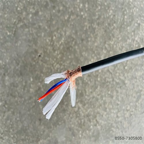 VIƷֵ -ٷվ