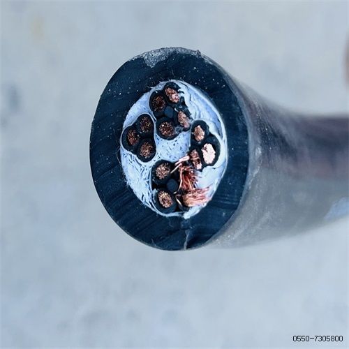 VIƷֵ -ٷվ