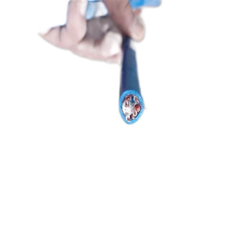 VIƷֵ -ٷվ