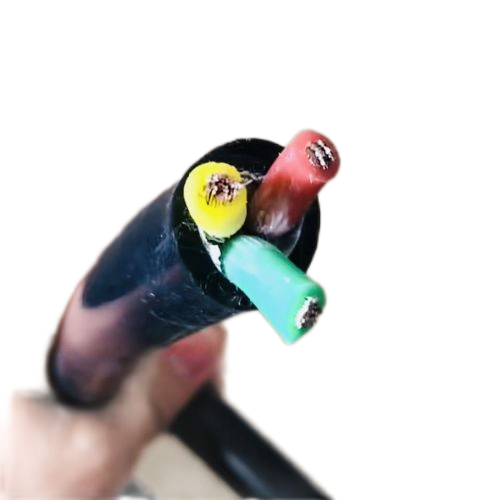 VIƷֵ -ٷվ